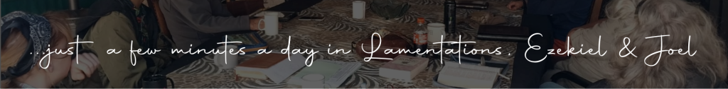 lamentations ezekiel joel picture header